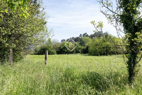 Landejendom i Tui, Pontevedra, Tui - € 700.000 | Ref: VIG49006 - foto 26