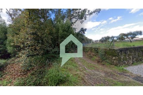 Helårsgrund i Alvito, Beja, Alvito - € 200.000 | Ref: TER_3424 - foto 2