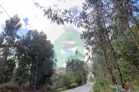 Helårsgrund i Alvito, Beja, Alvito - € 200.000 | Ref: TER_3424 - foto 4