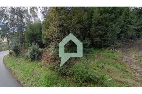 Helårsgrund i Alvito, Beja, Alvito - € 200.000 | Ref: TER_3424 - foto 5
