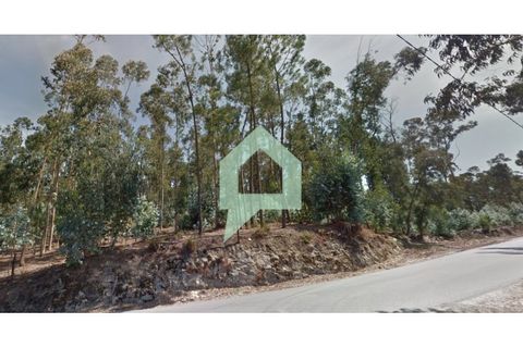 Helårsgrund i Alvito, Beja, Alvito - € 200.000 | Ref: TER_3424 - foto 8