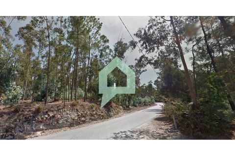 Helårsgrund i Alvito, Beja, Alvito - € 200.000 | Ref: TER_3424 - foto 10