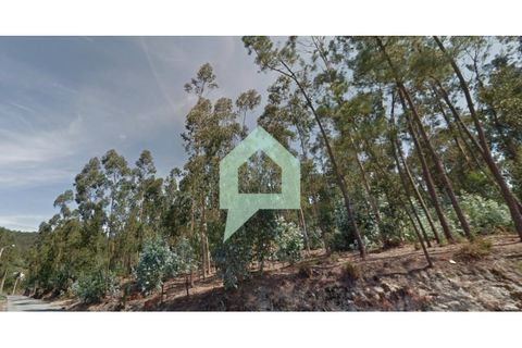 Helårsgrund i Alvito, Beja, Alvito - € 200.000 | Ref: TER_3424 - foto 11
