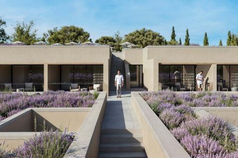 Helårsgrund i Almancil, Faro, Almancil - € 3.900.000 | Ref: MI24000 - foto 2