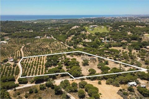 Helårsgrund i Almancil, Faro, Almancil - € 3.900.000 | Ref: MI24000 - foto 15