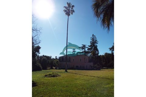 Villa i Elvas, Portalegre, Elvas - € 8.500.000 | Ref: PAL_4 - foto 33