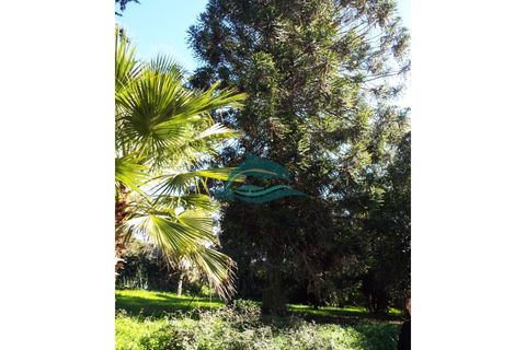 Villa i Elvas, Portalegre, Elvas - € 8.500.000 | Ref: PAL_4 - foto 37