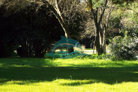 Villa i Elvas, Portalegre, Elvas - € 8.500.000 | Ref: PAL_4 - foto 44