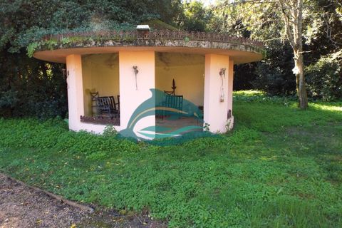 Villa i Elvas, Portalegre, Elvas - € 8.500.000 | Ref: PAL_4 - foto 49