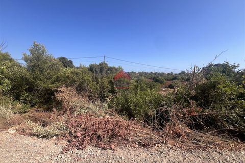 Helårsgrund i Tavira, Faro, Tavira - € 65.000 | Ref: 125250057 - foto 7