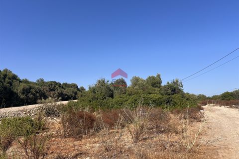 Helårsgrund i Tavira, Faro, Tavira - € 65.000 | Ref: 125250057 - foto 9
