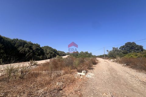 Helårsgrund i Tavira, Faro, Tavira - € 65.000 | Ref: 125250057 - foto 12