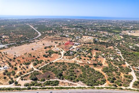 Helårsgrund i Tavira, Faro, Tavira - € 65.000 | Ref: 125250057 - foto 15
