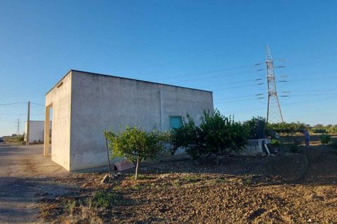 Villa a Brindisi, Brindisi, Brindisi - € 135.000 | Ref: 135Palmarini - foto 8