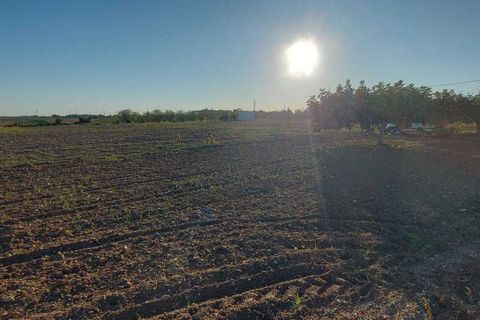 Villa a Brindisi, Brindisi, Brindisi - € 135.000 | Ref: 135Palmarini - foto 12