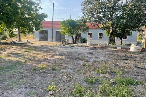 Villa i Cantanhede, Coimbra, Cantanhede - € 450.000 | Ref: SF-SAFTI:007234 - foto 10