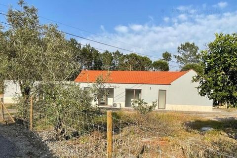 Villa i Cantanhede, Coimbra, Cantanhede - € 450.000 | Ref: SF-SAFTI:007234 - foto 13