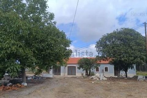 Villa i Cantanhede, Coimbra, Cantanhede - € 450.000 | Ref: SF-SAFTI:007234 - foto 14