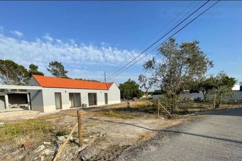 Villa i Cantanhede, Coimbra, Cantanhede - € 450.000 | Ref: SF-SAFTI:007234 - foto 15