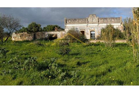 Villa i Moncarapacho, Faro, Moncarapacho - € 950.000 | Ref: Quinta_Salinas - foto 2