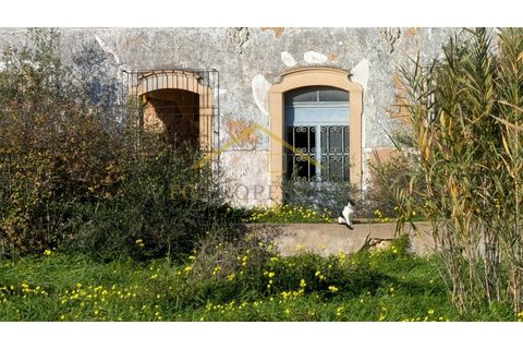 Villa i Moncarapacho, Faro, Moncarapacho - € 950.000 | Ref: Quinta_Salinas - foto 4