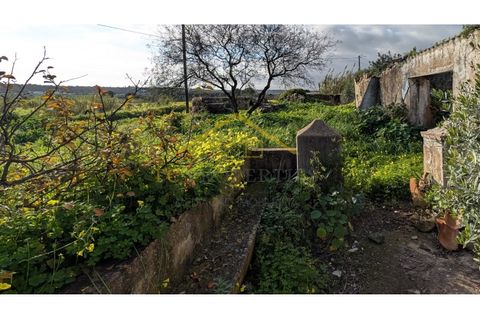 Villa i Moncarapacho, Faro, Moncarapacho - € 950.000 | Ref: Quinta_Salinas - foto 14