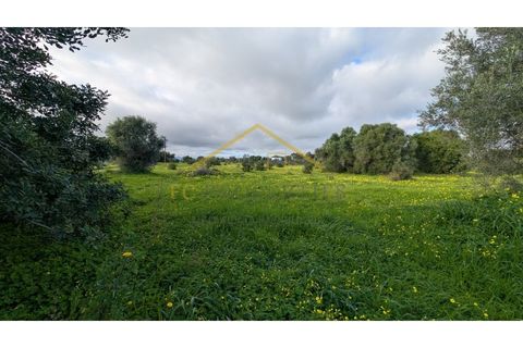 Villa i Moncarapacho, Faro, Moncarapacho - € 950.000 | Ref: Quinta_Salinas - foto 15
