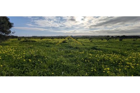 Villa i Moncarapacho, Faro, Moncarapacho - € 950.000 | Ref: Quinta_Salinas - foto 16