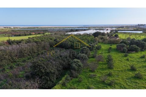 Villa i Moncarapacho, Faro, Moncarapacho - € 950.000 | Ref: Quinta_Salinas - foto 17