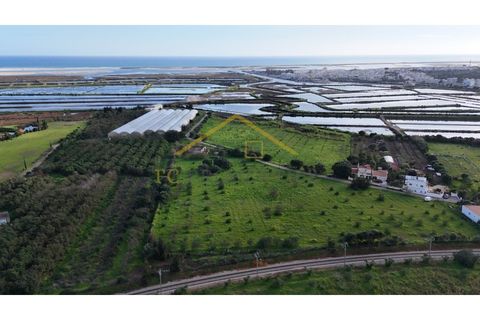 Villa i Moncarapacho, Faro, Moncarapacho - € 950.000 | Ref: Quinta_Salinas - foto 18