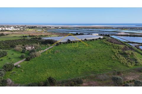 Villa i Moncarapacho, Faro, Moncarapacho - € 950.000 | Ref: Quinta_Salinas - foto 19