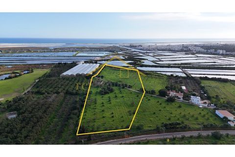 Villa i Moncarapacho, Faro, Moncarapacho - € 950.000 | Ref: Quinta_Salinas - foto 3