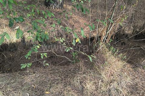 Terra a Nelas, Viseu, Nelas - € 55.000 | Ref: 389250215 - foto 3