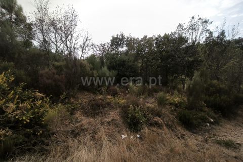 Terra a Nelas, Viseu, Nelas - € 55.000 | Ref: 389250215 - foto 5