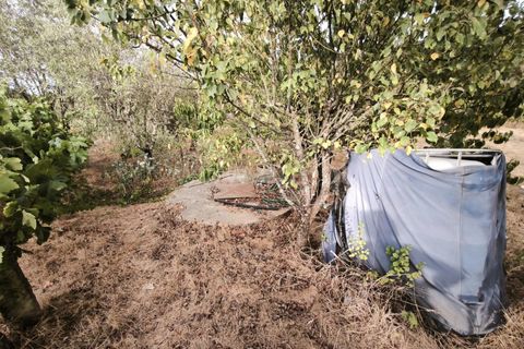 Terra a Nelas, Viseu, Nelas - € 55.000 | Ref: 389250215 - foto 6