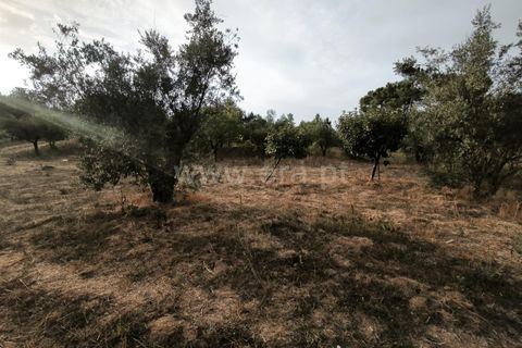 Terra a Nelas, Viseu, Nelas - € 55.000 | Ref: 389250215 - foto 9