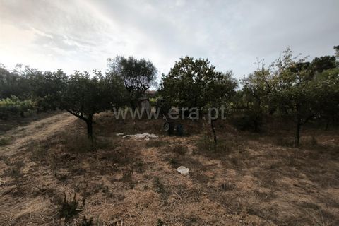 Terra a Nelas, Viseu, Nelas - € 55.000 | Ref: 389250215 - foto 10