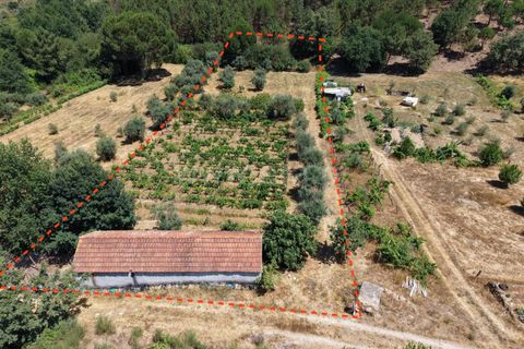 Grond in Nelas, Viseu, Nelas - € 55.000 | Ref: 389250215 - foto 1