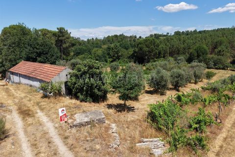 Grond in Nelas, Viseu, Nelas - € 55.000 | Ref: 389250215 - foto 2