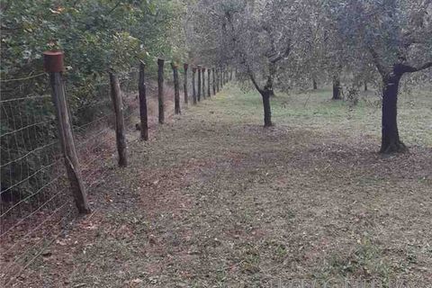 Tomt i Monterchi, Arezzo, Monterchi - € 25 000 | Ref: 604 - foto 6