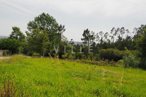 Terra a Agueda, Aveiro, Agueda - € 48.000 | Ref: AV2645 - foto 2