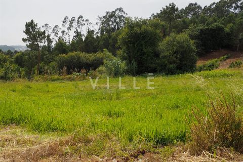 Terra a Agueda, Aveiro, Agueda - € 48.000 | Ref: AV2645 - foto 3