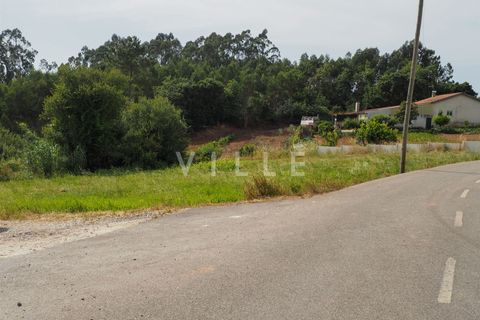 Terra a Agueda, Aveiro, Agueda - € 48.000 | Ref: AV2645 - foto 4