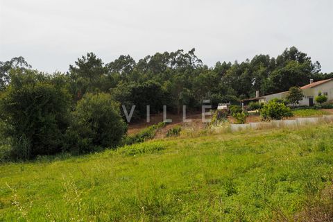 Terra a Agueda, Aveiro, Agueda - € 48.000 | Ref: AV2645 - foto 5