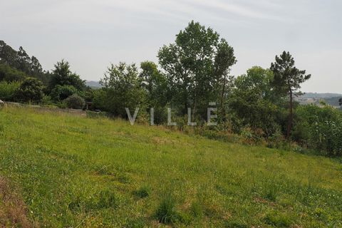 Terra a Agueda, Aveiro, Agueda - € 48.000 | Ref: AV2645 - foto 6