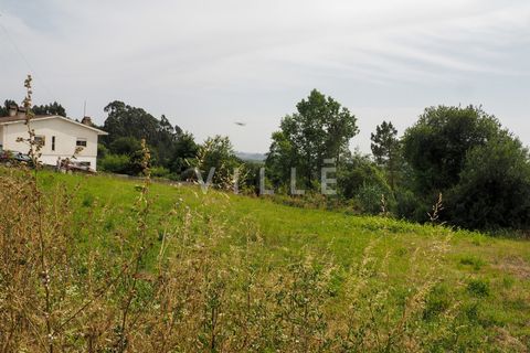 Terra a Agueda, Aveiro, Agueda - € 48.000 | Ref: AV2645 - foto 7