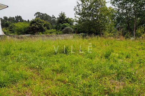 Terra a Agueda, Aveiro, Agueda - € 48.000 | Ref: AV2645 - foto 8