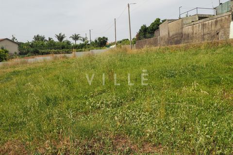 Terra a Agueda, Aveiro, Agueda - € 48.000 | Ref: AV2645 - foto 9