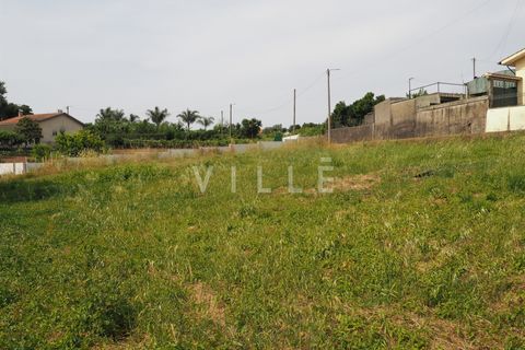 Terra a Agueda, Aveiro, Agueda - € 48.000 | Ref: AV2645 - foto 10