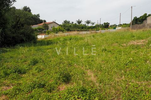 Terra a Agueda, Aveiro, Agueda - € 48.000 | Ref: AV2645 - foto 11